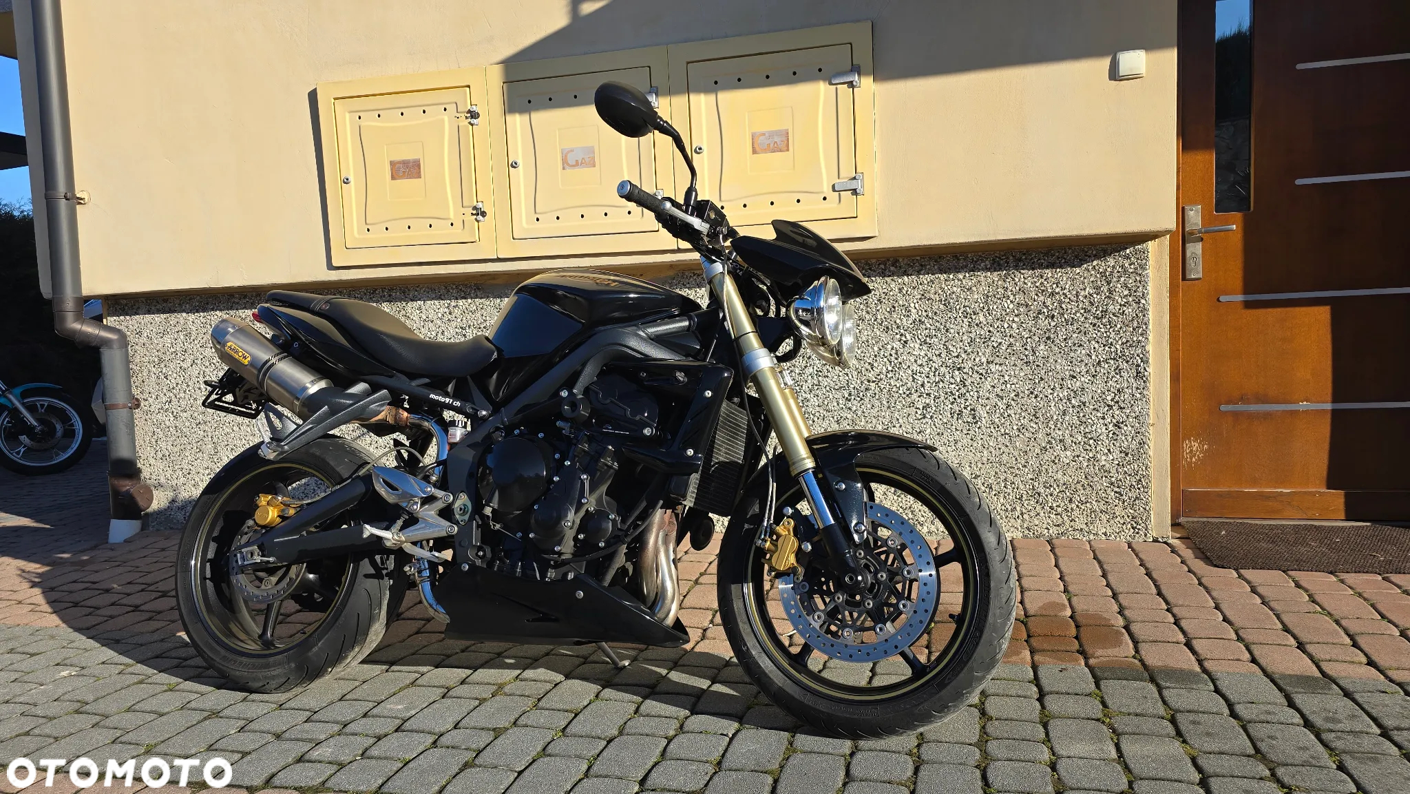 Triumph Speed Triple - 3