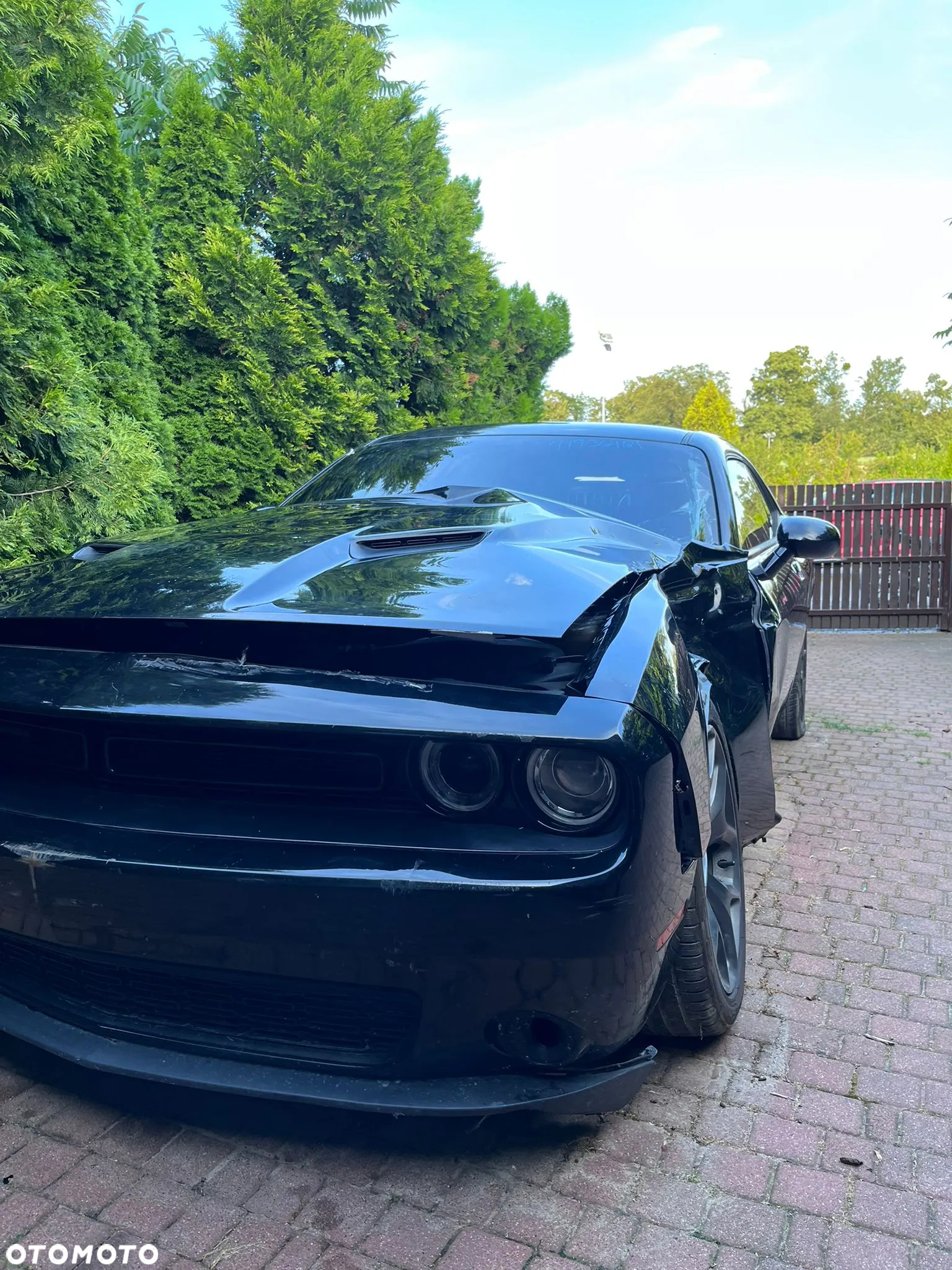 Dodge Challenger 3.6 SXT Plus - 2