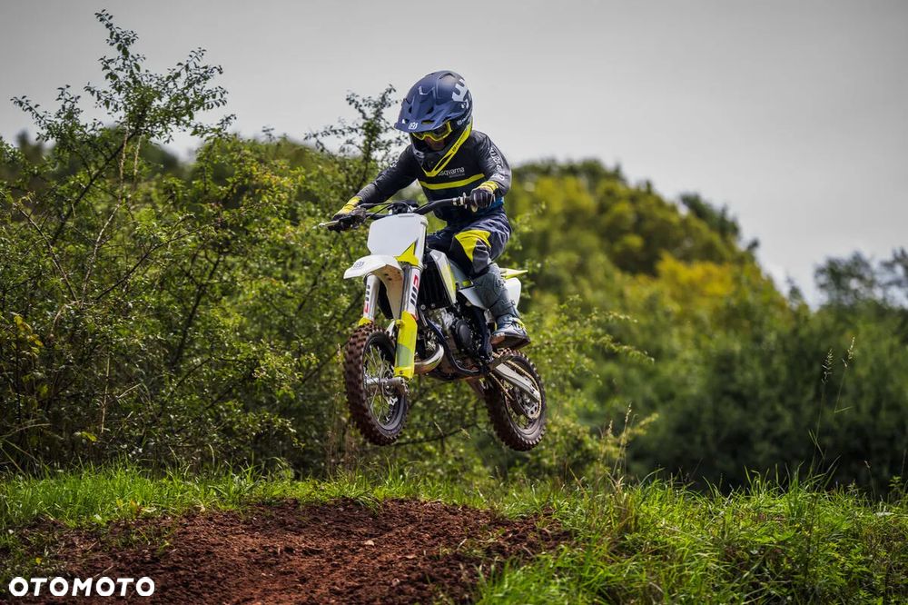 Husqvarna TC - 17