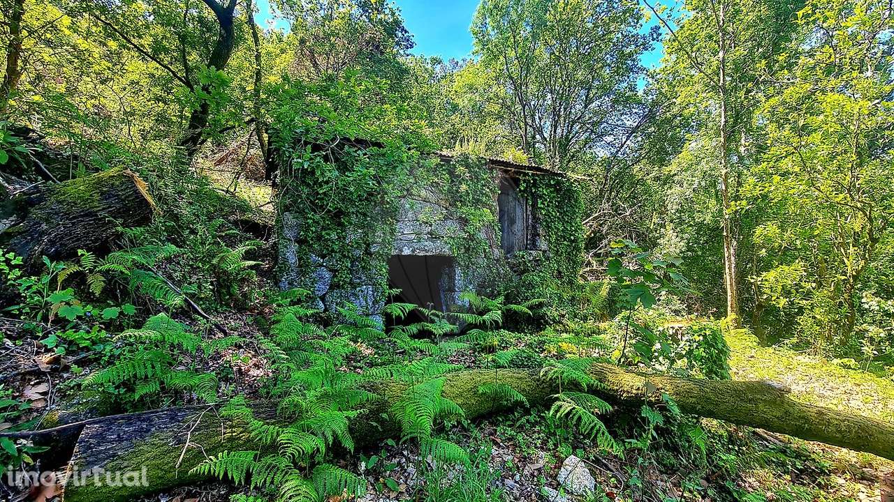 Terreno  para venda - Grande imagem: 4/23