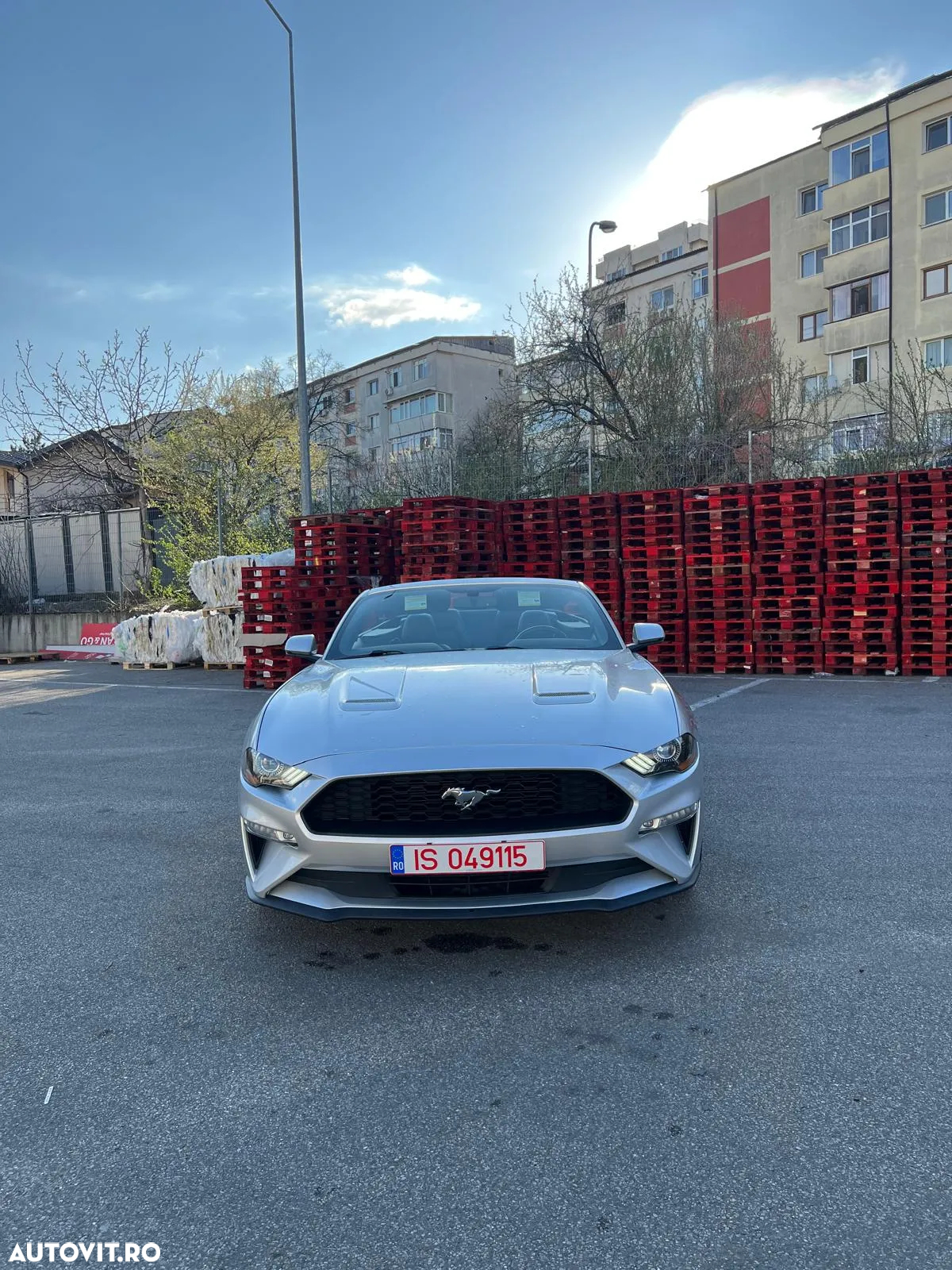 Ford Mustang Cabrio 2.3 Eco Boost - 19