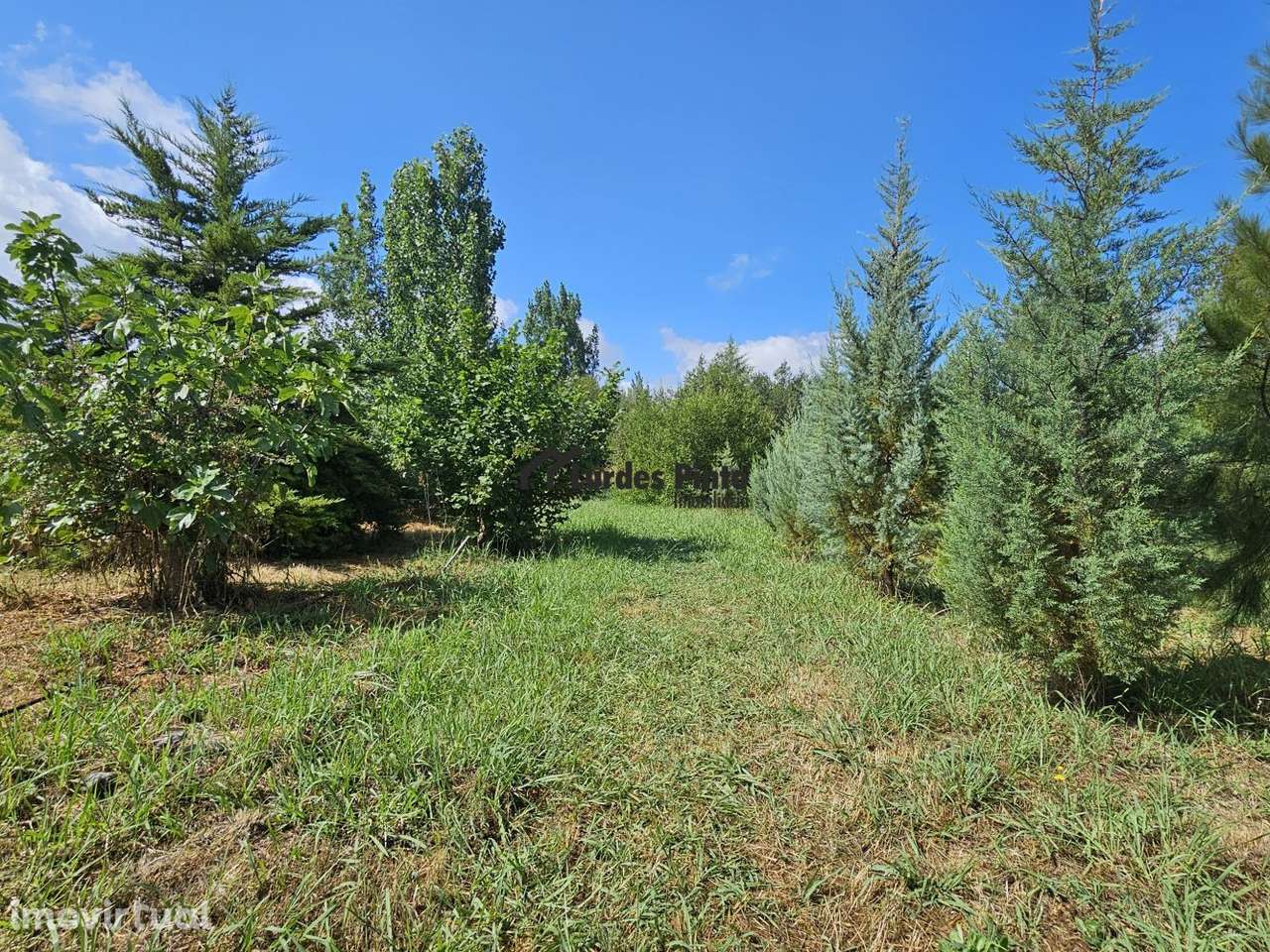 Quinta com habitação - Grande imagem: 4/28