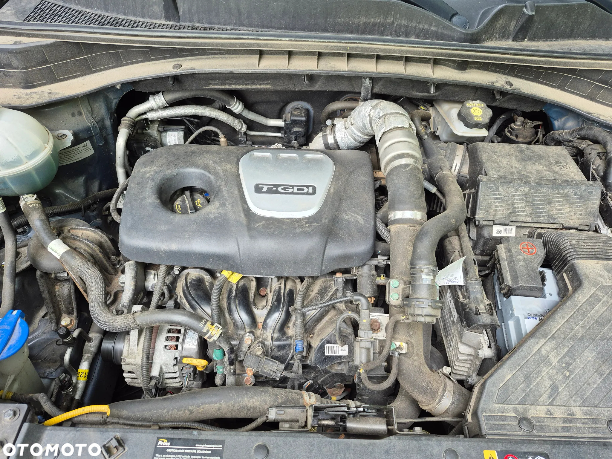 Kia Sportage - 26