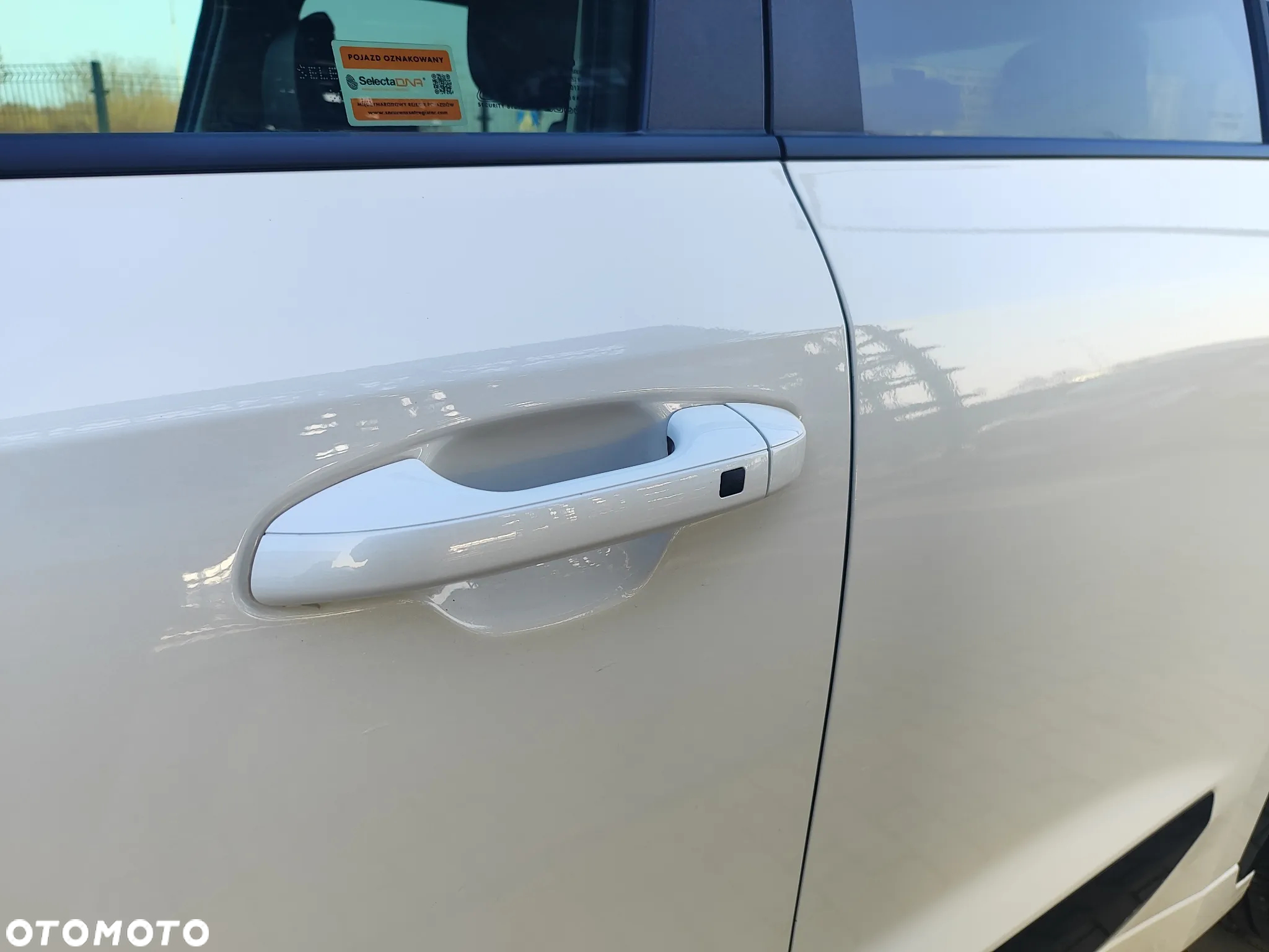 Kia Niro 1.6 GDI Plug-In Hybrid L - 10