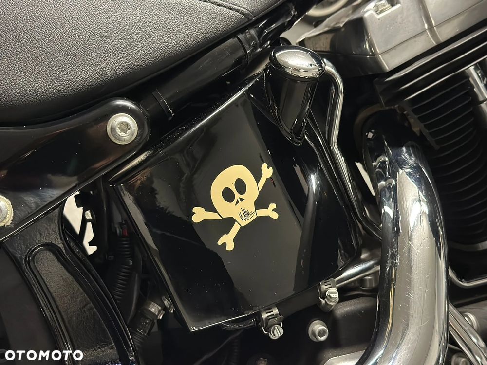 Harley-Davidson Softail Cross Bones - 9