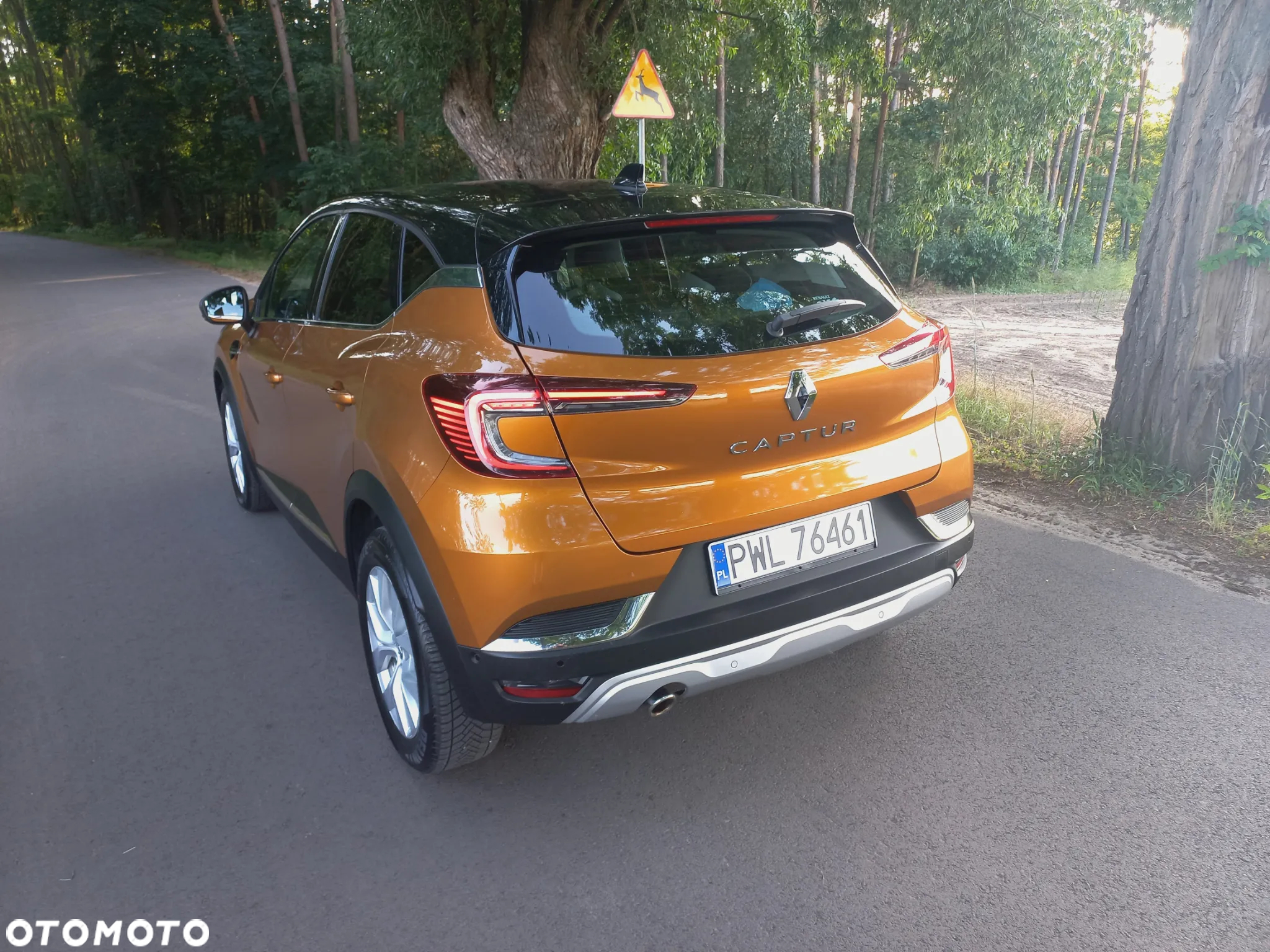 Renault Captur 1.3 TCe Intens EDC - 7