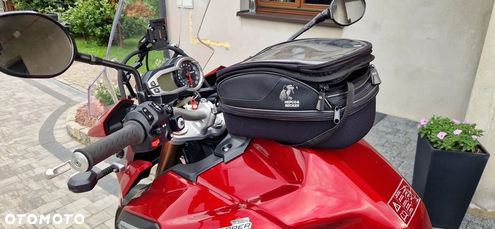 Triumph Tiger - 25