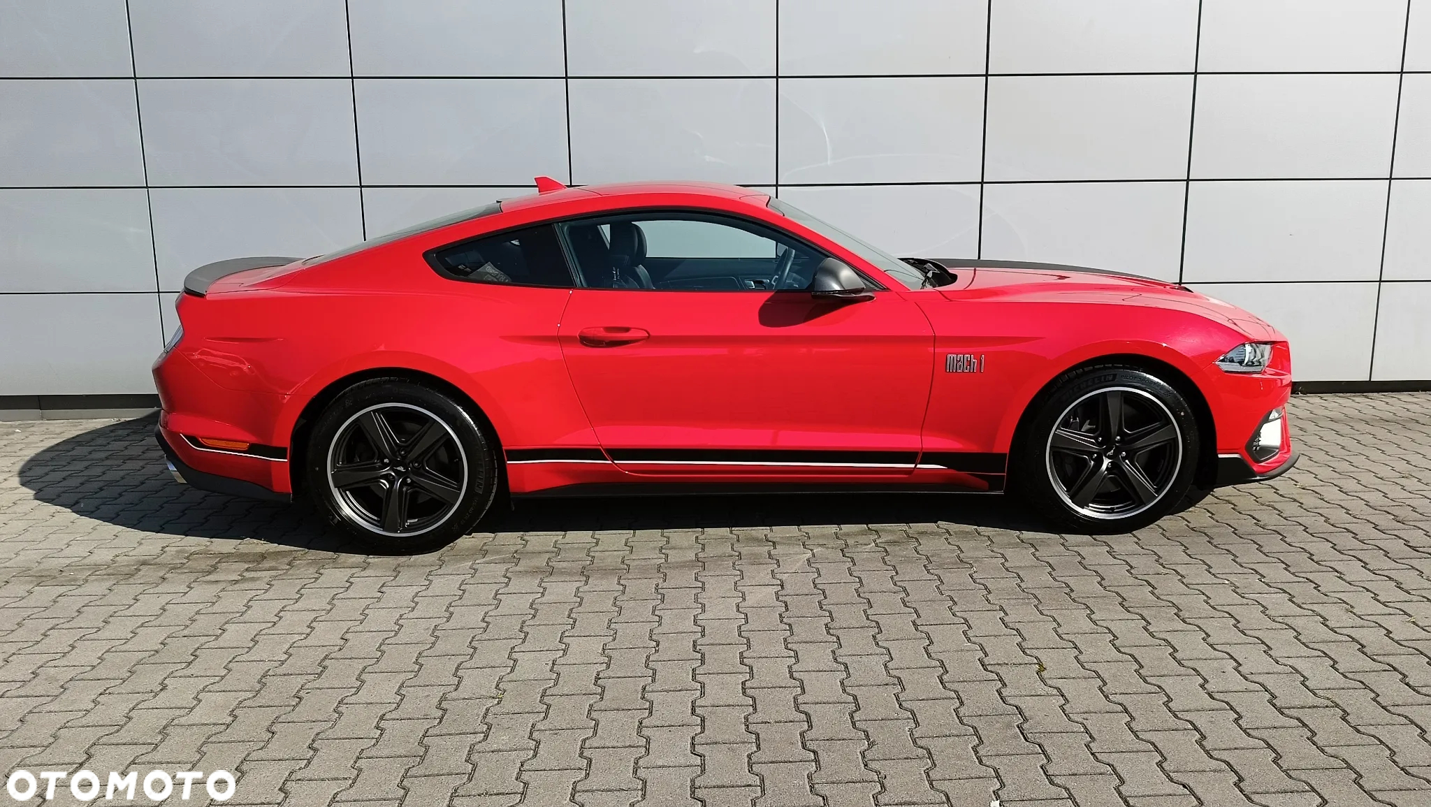 Ford Mustang 5.0 V8 Mach 1 - 2