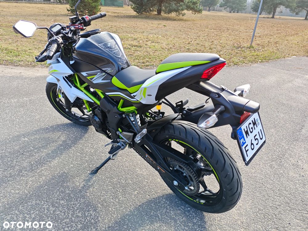 Kawasaki Z - 6