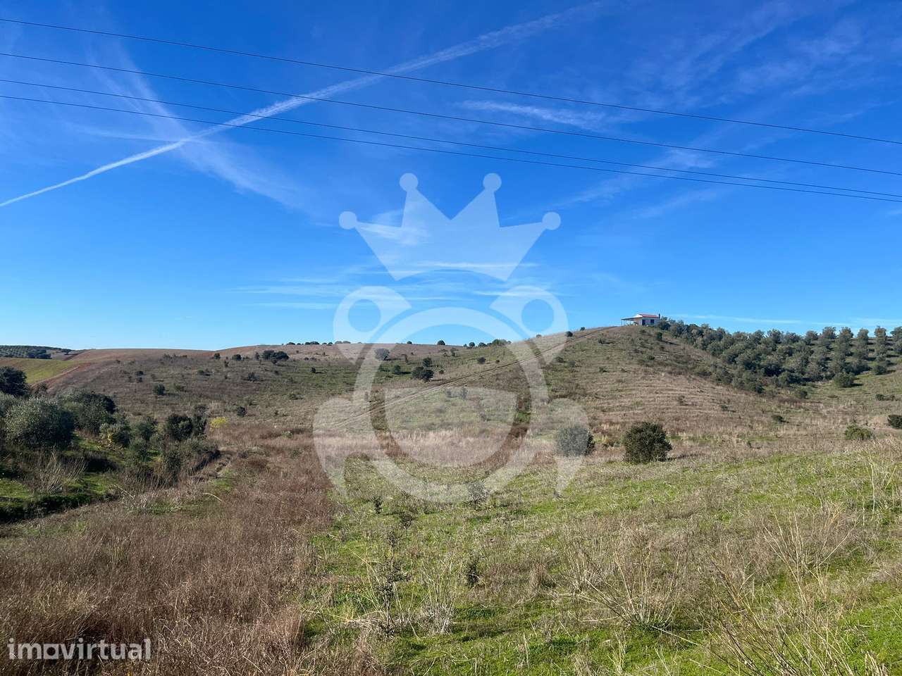 Terreno com 184500m2 em Ervidel - Grande imagem: 5/22