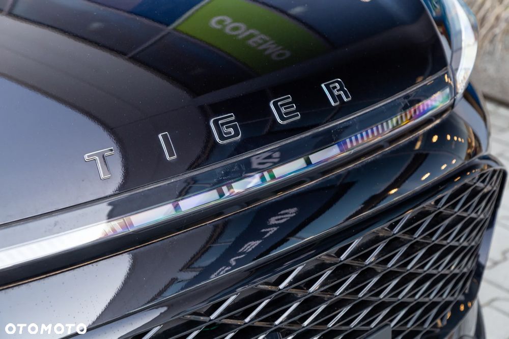 DR MOTOR TIGER EIGHT - 10