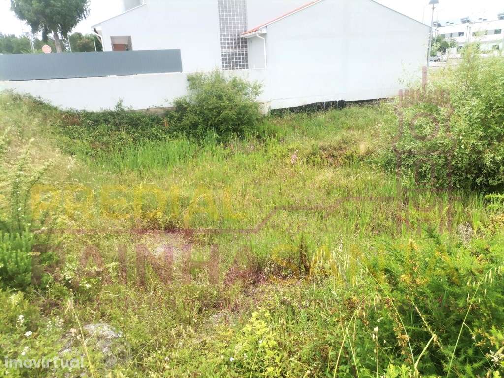 Lote para construção de Moradia - Ançã - Grande imagem: 3/3