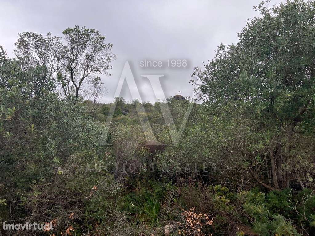 Terreno Rústico - Loulé |LEILÃO ELETRÓNICO| FIM 25*MAI - Grande imagem: 5/6