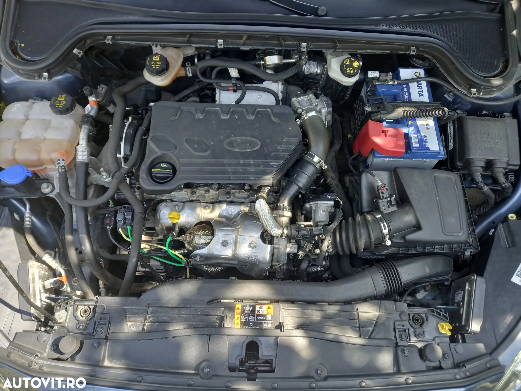 Ford Focus 1.5 EcoBlue Titanium Business - 13