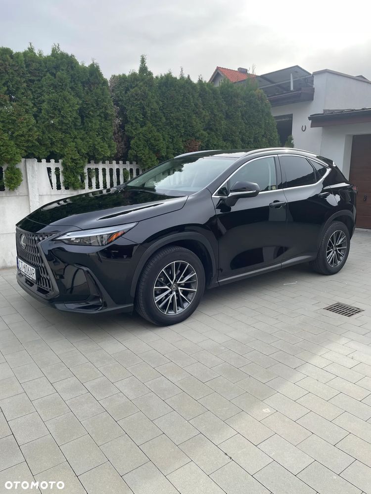 Lexus Nx 2023 photo 4