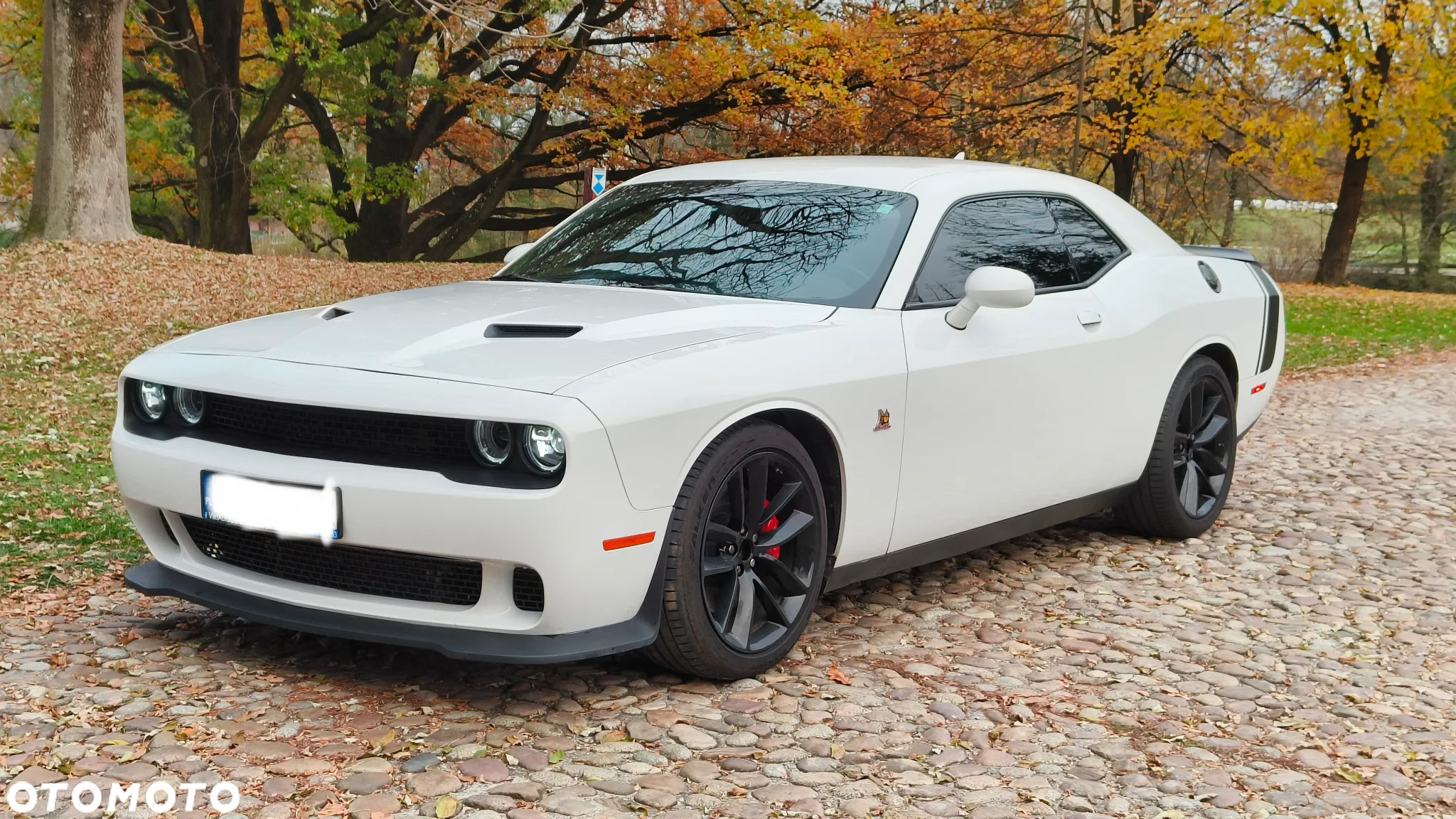 Dodge Challenger Automatik R/T Plus Scat Pack - 3