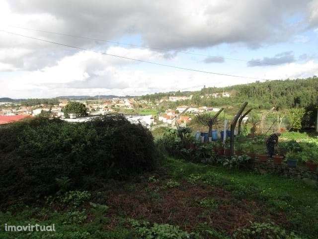 Terreno Urbano em Pousadela - Nogueira da Regedoura - Grande imagem: 5/5