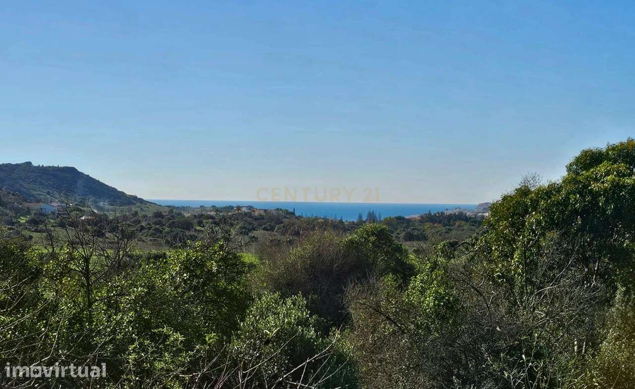 Quinta em Lagos, Praia da Luz,  46.000 m2, 2 casas e 2 Armazéns - Grande imagem: 2/40