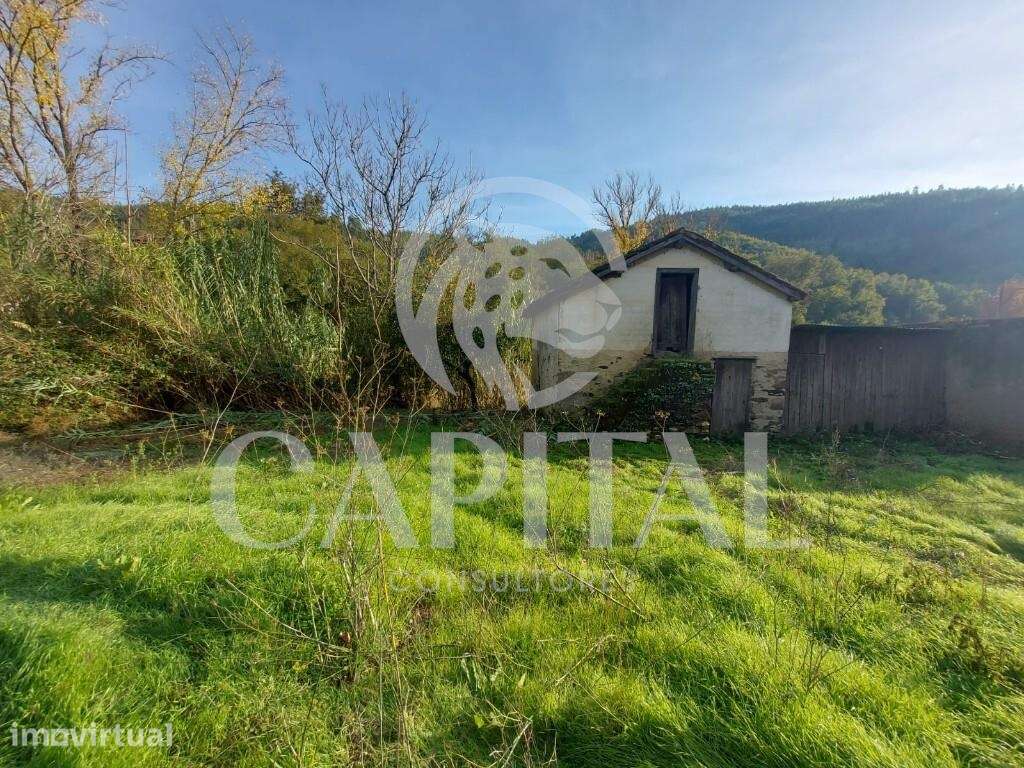 Terreno com Ruína Pisão / Côja - Grande imagem: 3/13