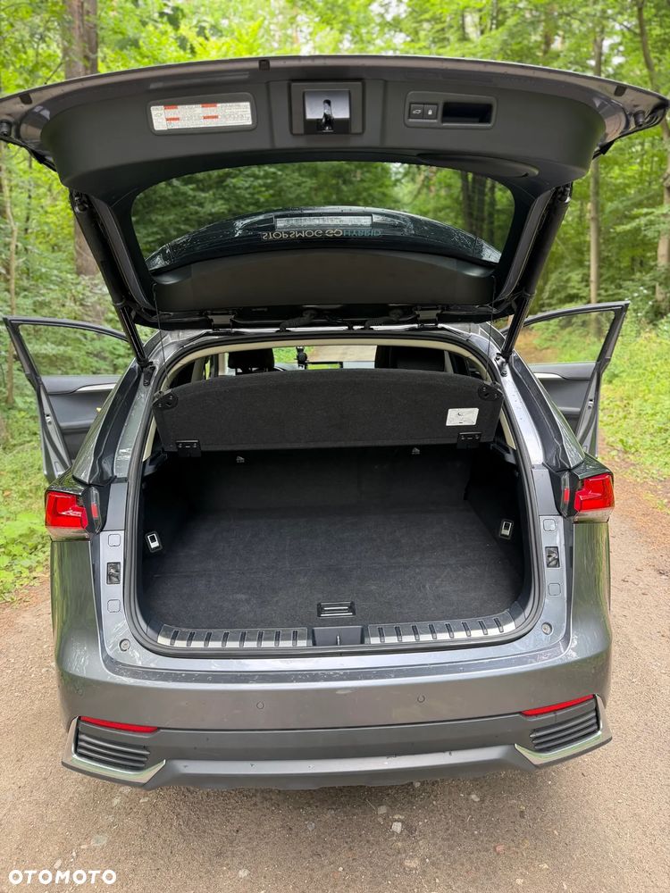 Lexus NX 300 Prestige AWD - 8