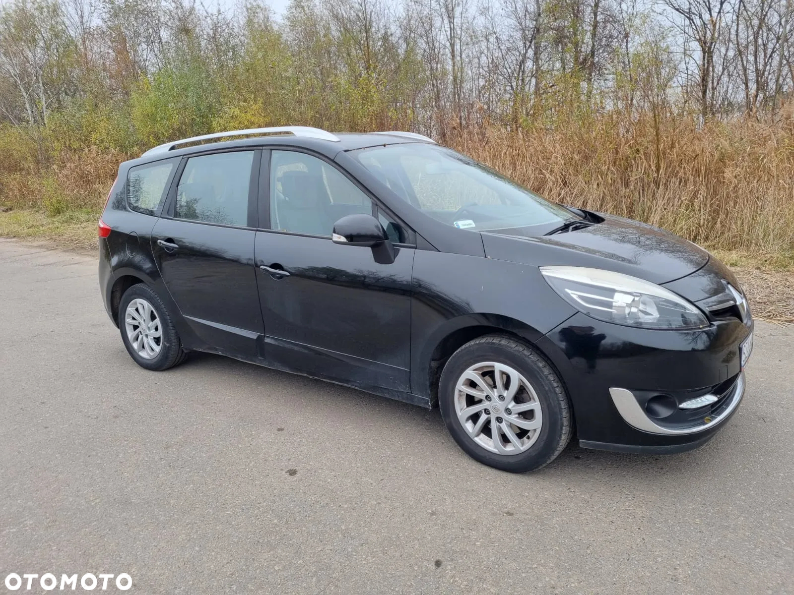 Renault Scenic - 3