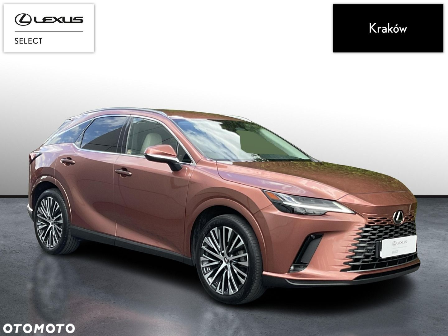 Lexus RX - 7
