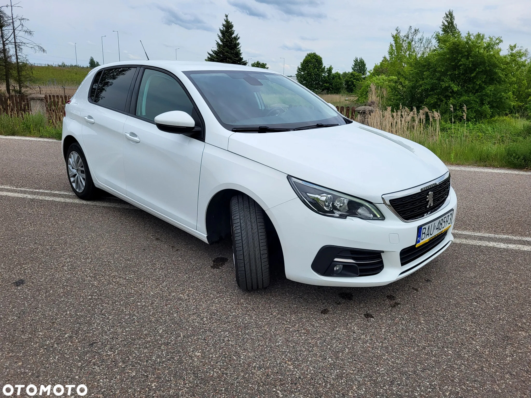 Peugeot 308 1.6 BlueHDi Active S&S - 18