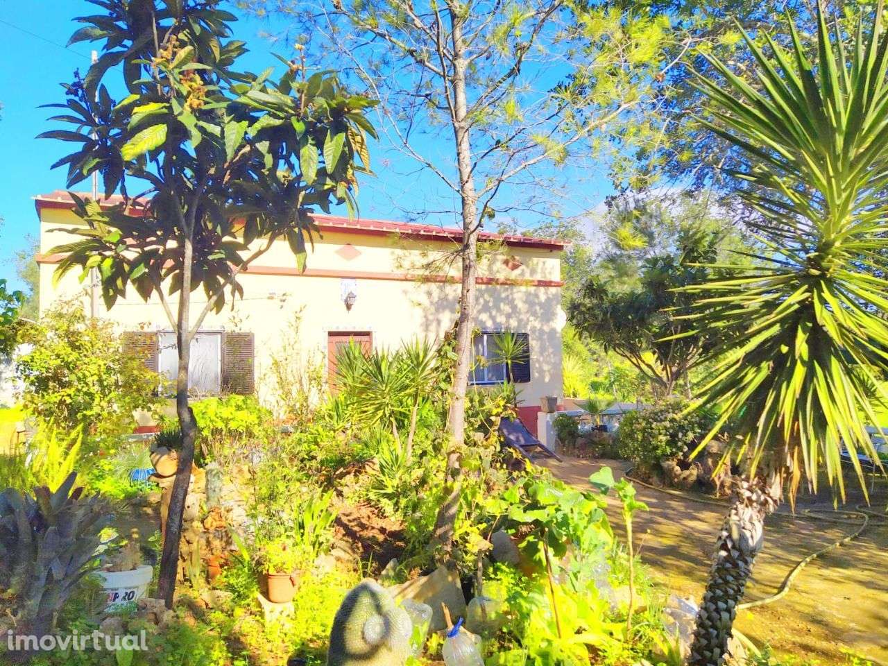 Moradia T3 C/ 813M2 Terreno - Grande imagem: 2/24