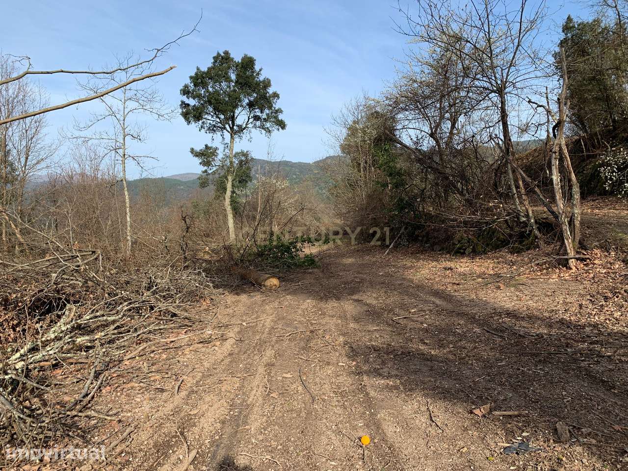 Terreno na zona do Gerês com vistas Rio - Grande imagem: 3/26