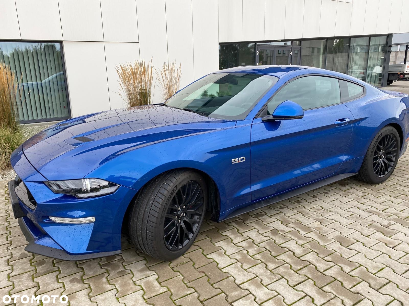 Ford Mustang 5.0 V8 GT - 2