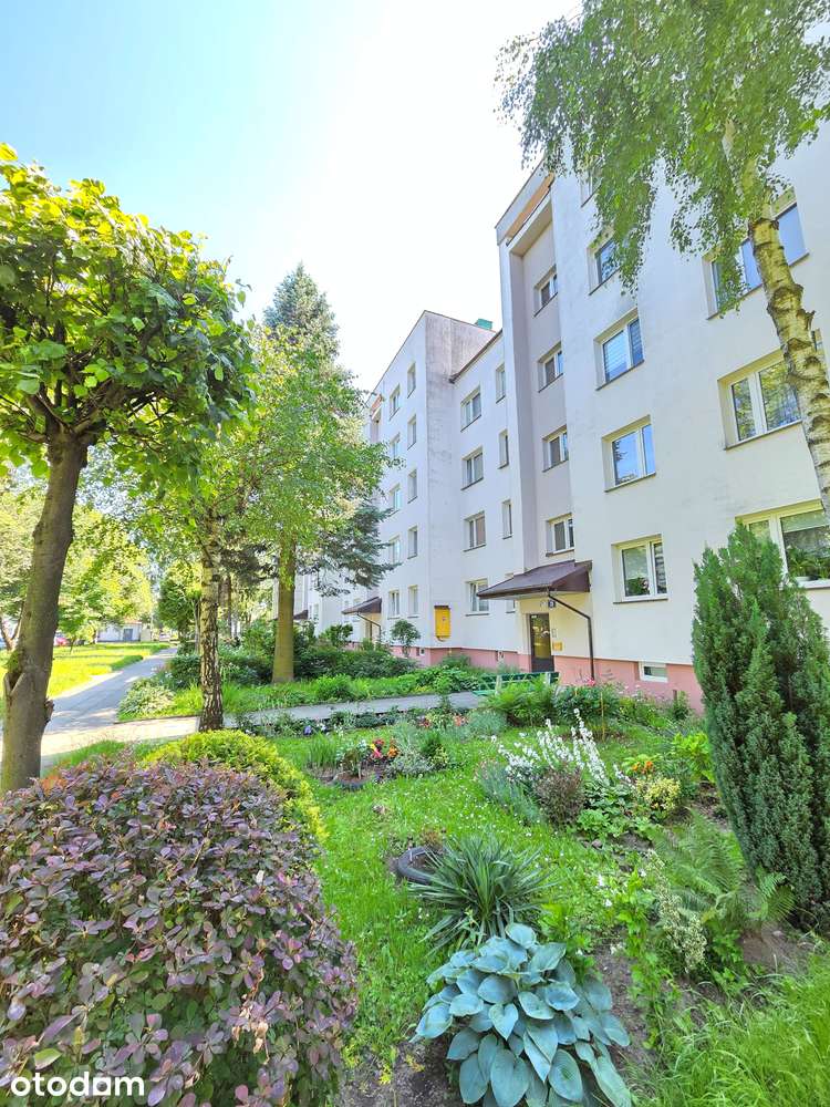 BEZPOŚREDNIO | 4 pokoje | balkon | piwnica | dla rodziny lub inwestora