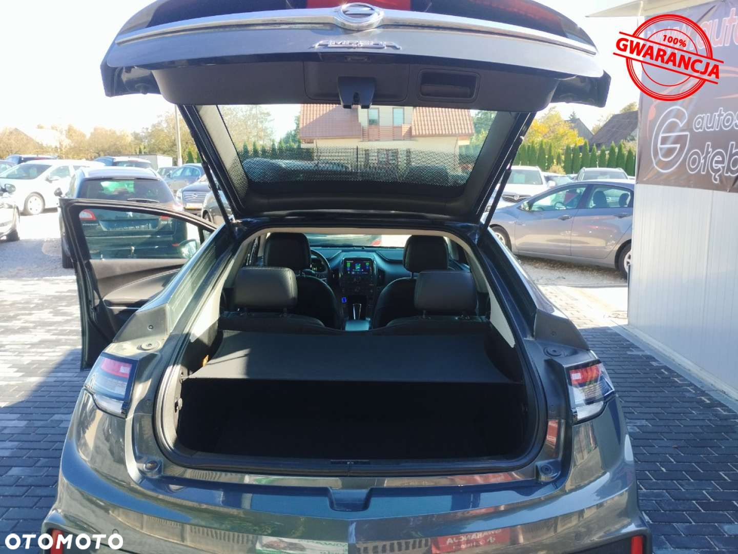 Opel Ampera - 36