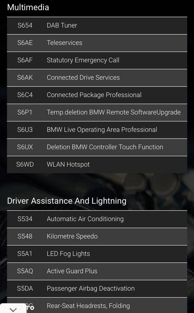 BMW Seria 3 318i - 30