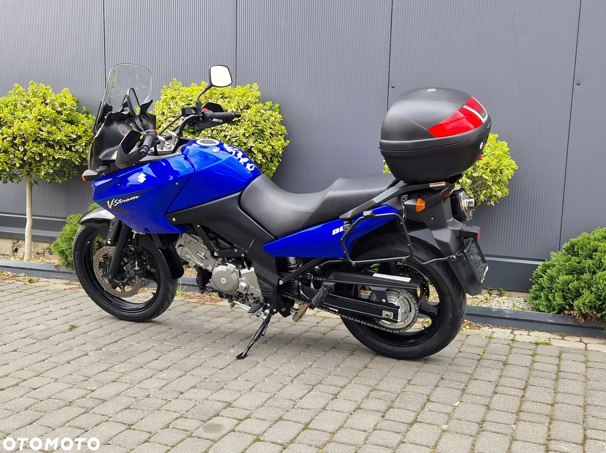 Suzuki DL - 7