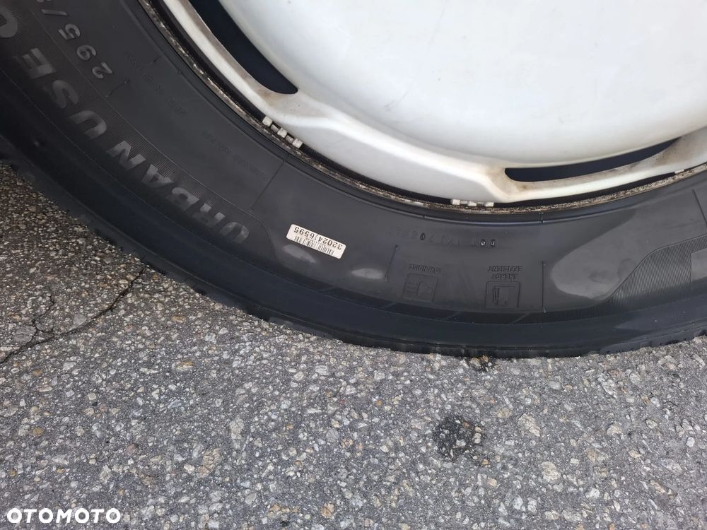 MAN LION'S COACH - 26