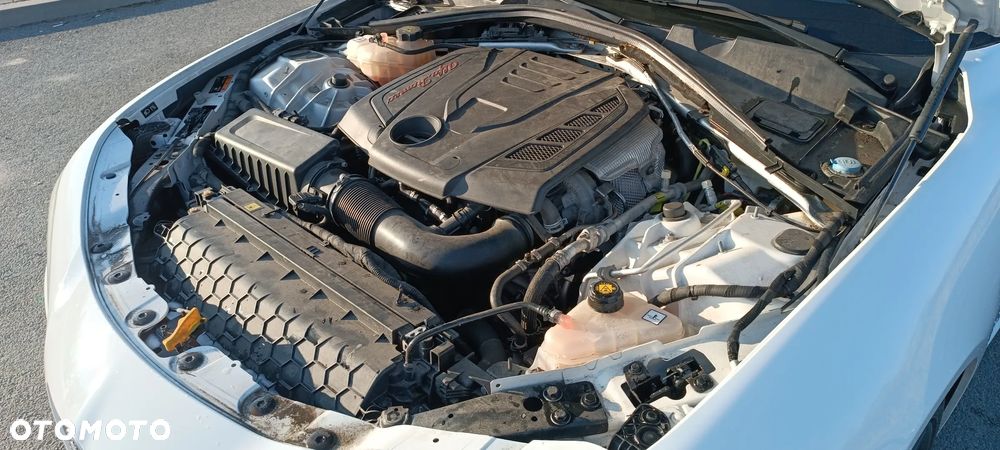 Alfa Romeo Giulia - 19