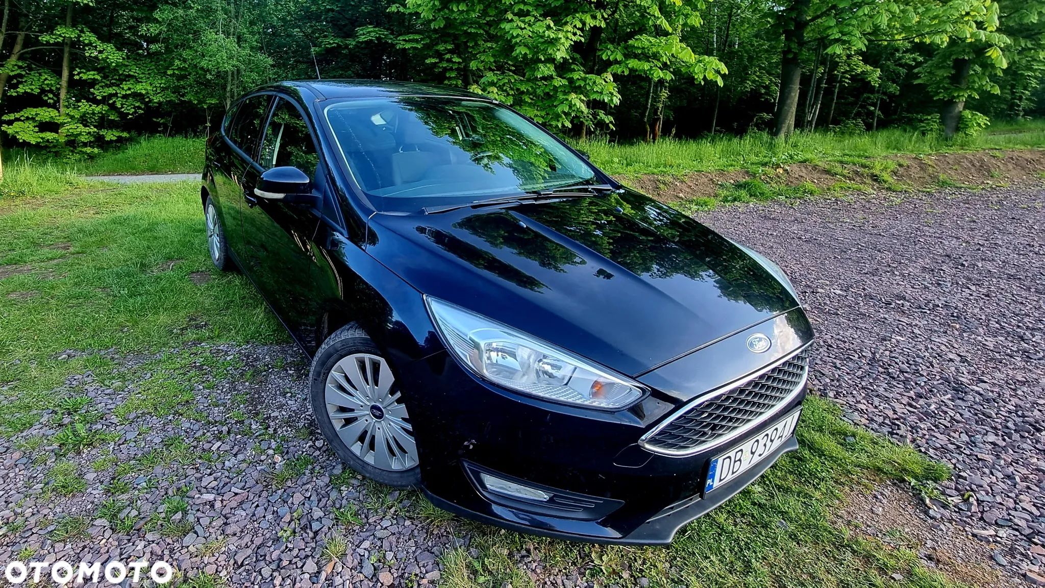 Ford Focus - 1