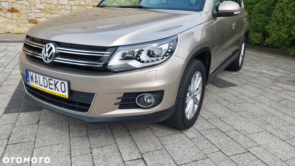 Volkswagen Tiguan - 13