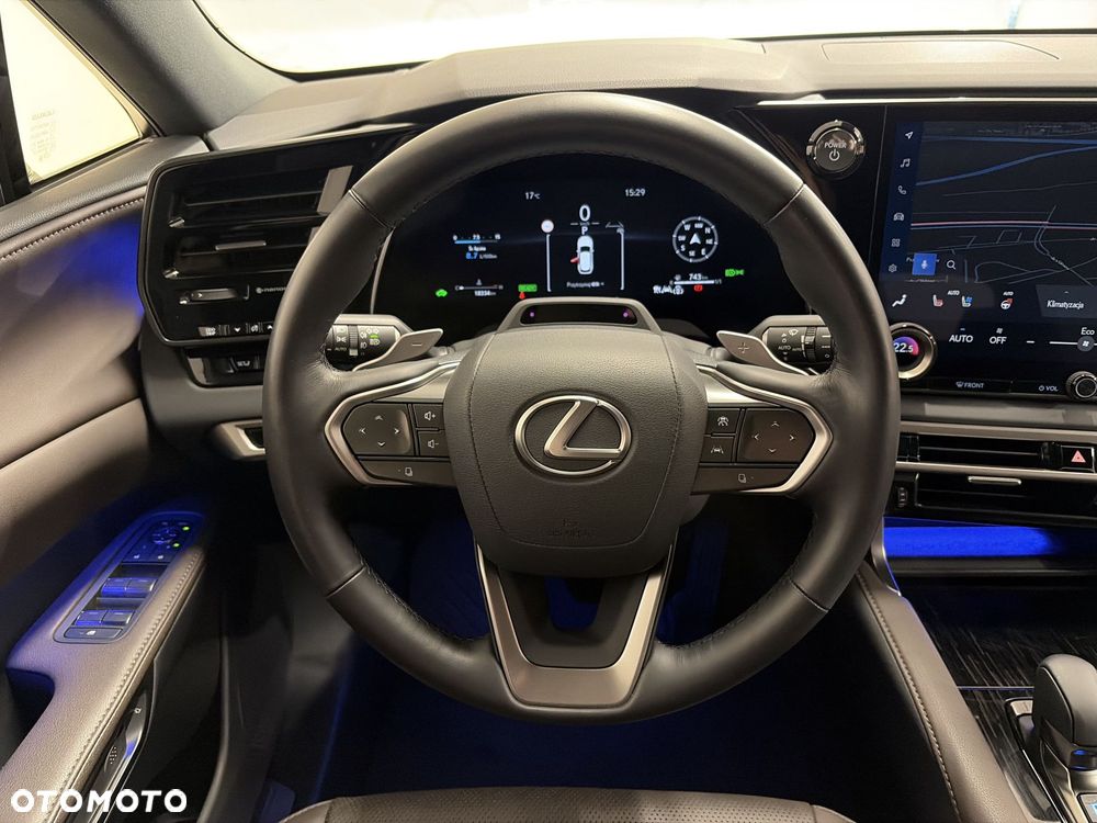 Lexus RX - 12