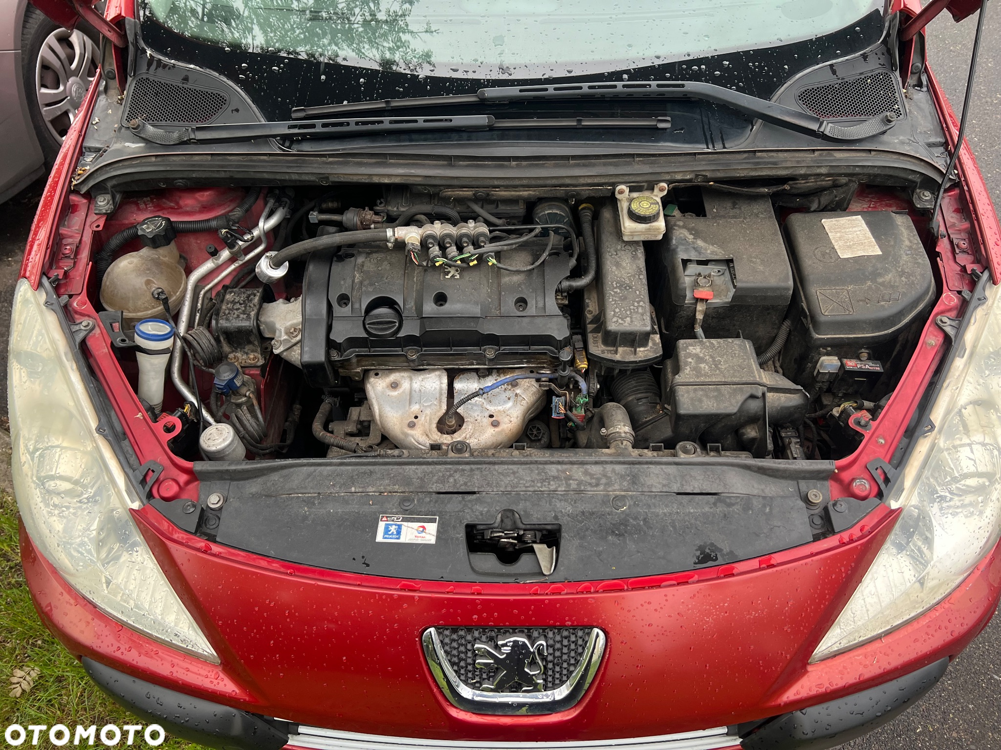 Peugeot 307 - 13