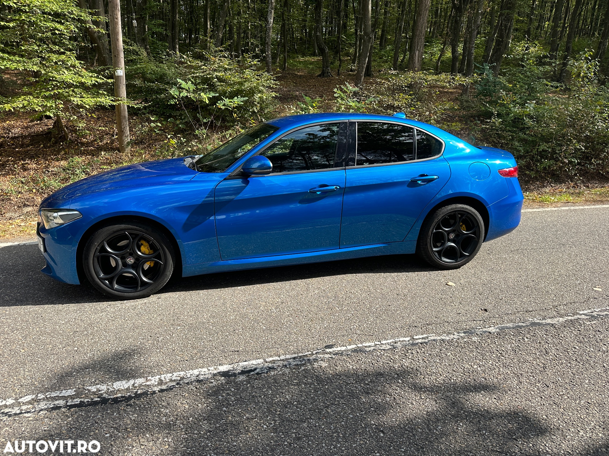 Alfa Romeo Giulia 2.2 JTDM Aut. Super - 3