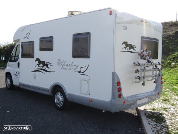 McLouis Yearling Série Limitada - 3