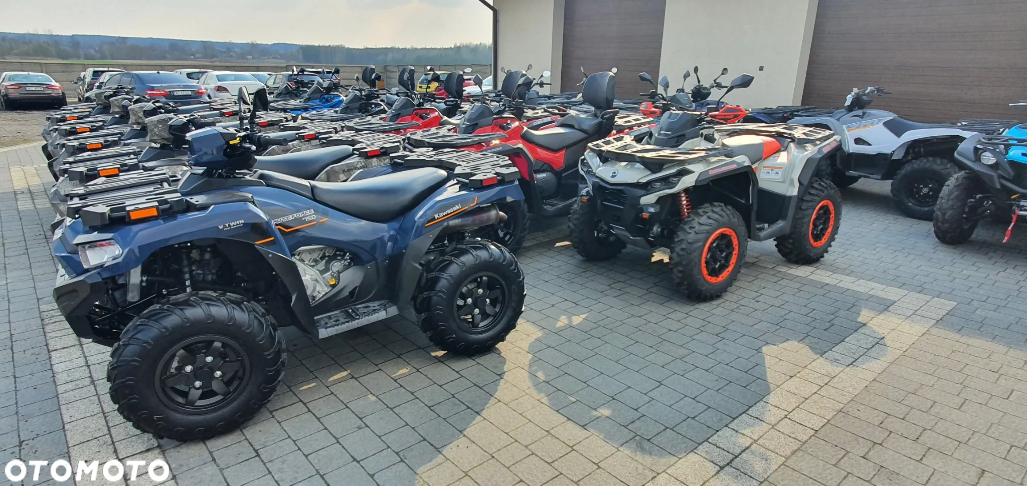 Kawasaki Brute Force