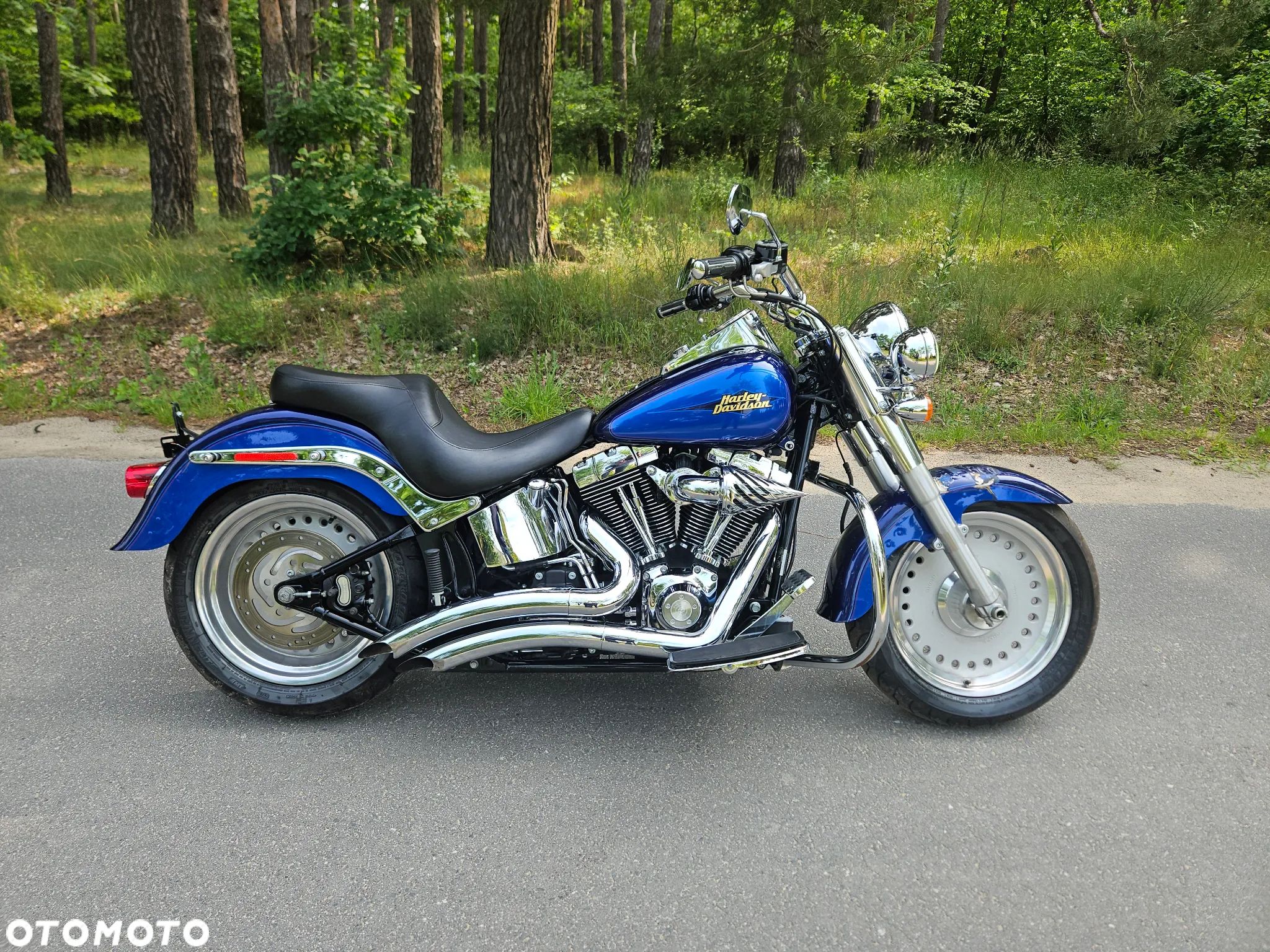 Harley-Davidson Softail Fat Boy - 1