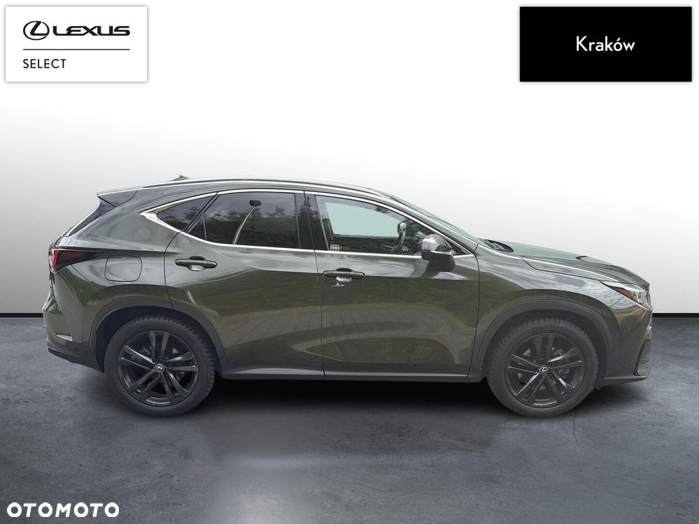 Lexus NX - 6
