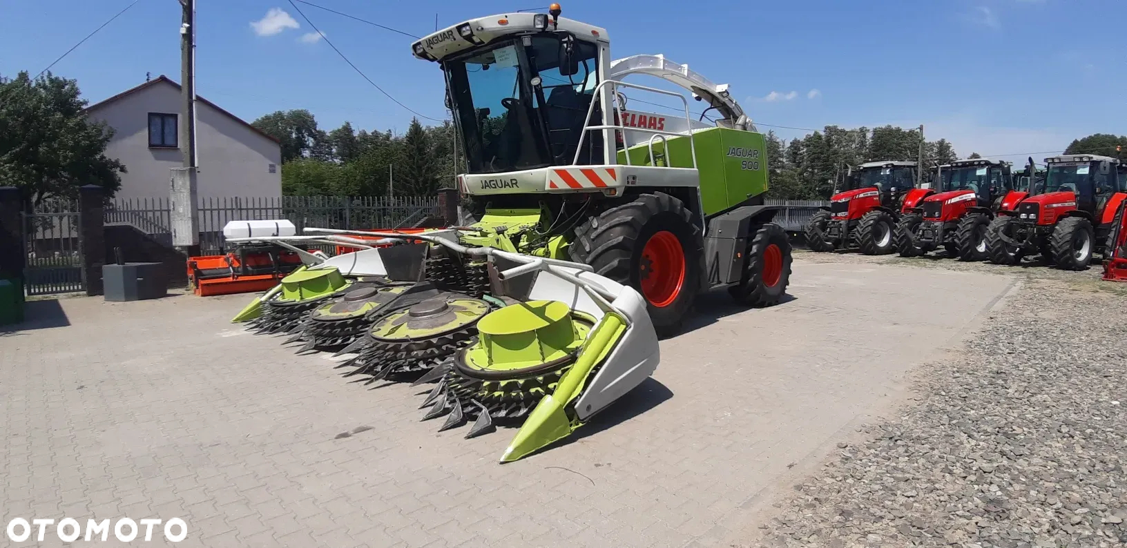Claas Jaguar 900 - 10
