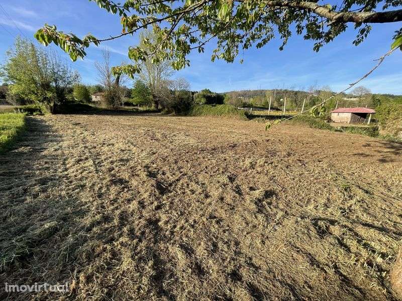 Terreno urbano com 1000m2 com duas casas em pedra - Grande imagem: 2/11