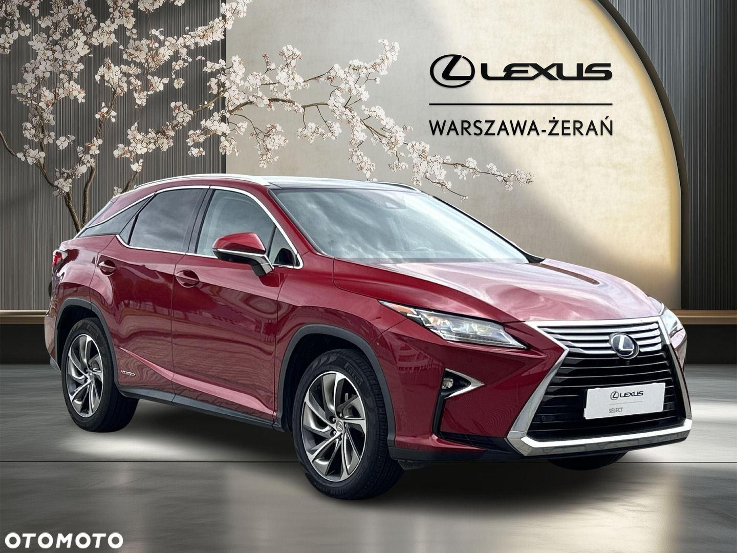 Lexus RX - 9