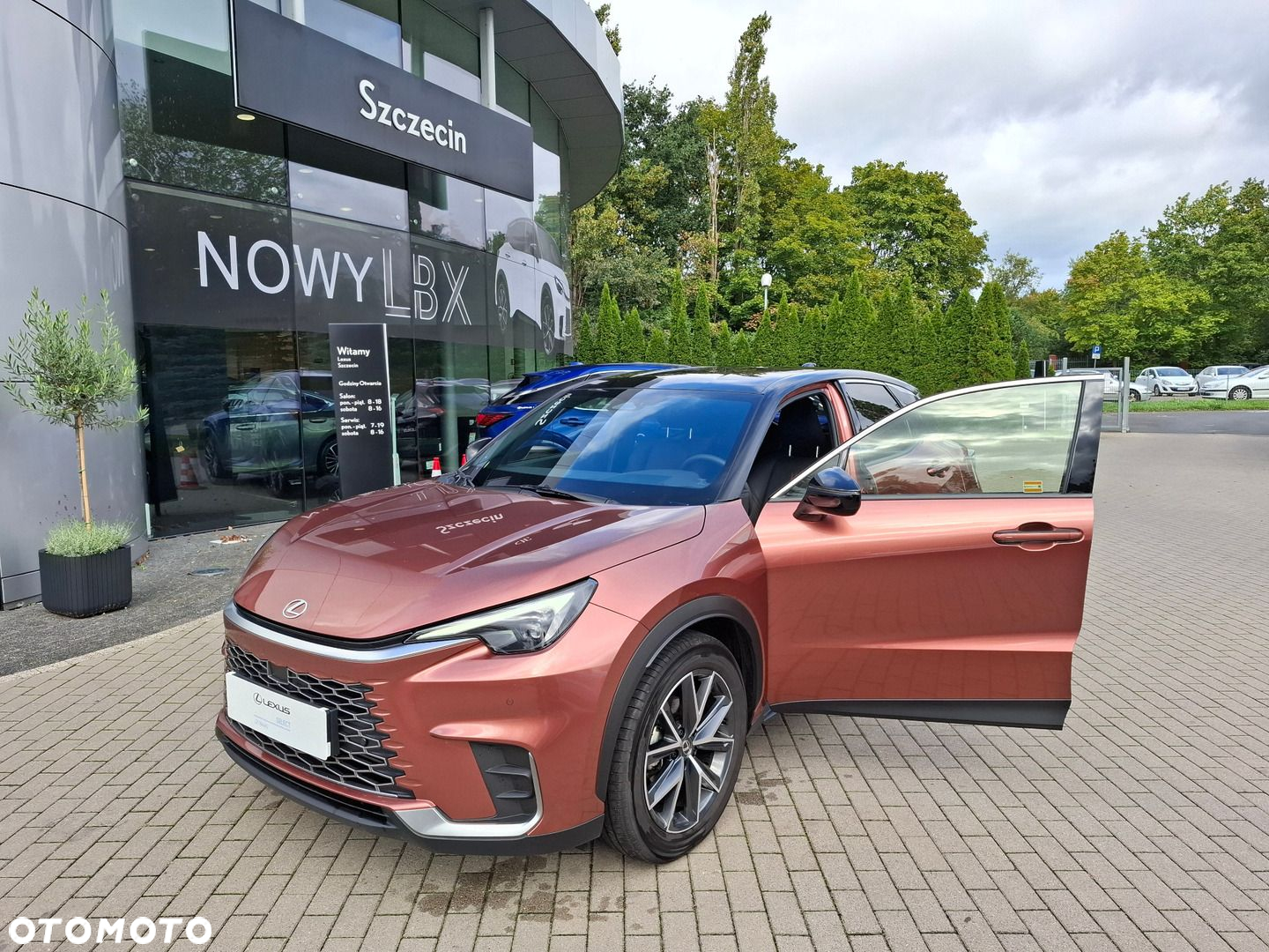 Lexus LBX 1.5 Hybrid Emotion - 9