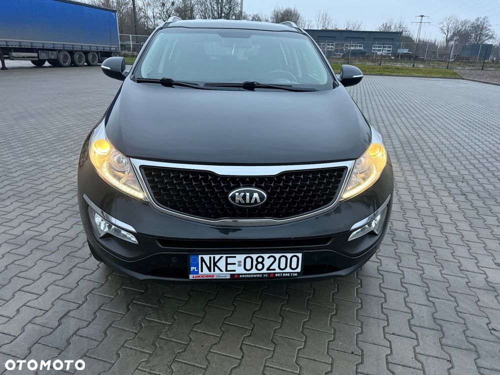 Kia Sportage 1.6 GDI Business Line L 2WD - 19
